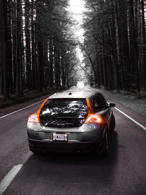 Volvo C30 driving through the California redwoods.