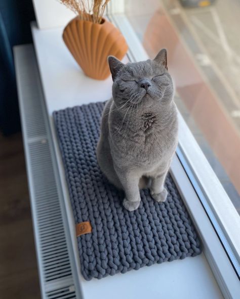 DIY crochet cat bed