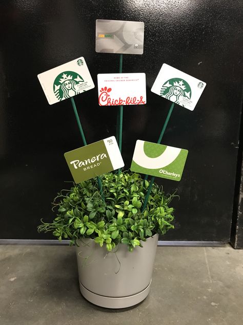 Plant With Gift Cards, Starbucks Gift Card Bouquet, Flower Pot Gift Card Bouquet, Gift Card Bouquet For Teachers, Teacher Gardening Gifts, Plants For Teachers Gift, Teacher Gift Plant, Teacher Appreciation Gift Card Bouquet, Teacher Appreciation Gifts Plants