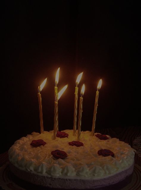 Dark Academia Cake Birthday, Birthday Dark Academia, Dark Academia Cake, Dark Academia Birthday, Charlie Emily, Cake Photoshoot, Fnaf Au, Lost Memories, Birthday Cake With Candles