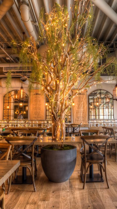 Visit our website for bookings and more information! Tree Restaurant Design, Olive Tree In Restaurant, Tree In Restaurant, Restaurant With Tree Inside, Plants In Restaurants Interior Design, Street Food Restaurant, Japanese Restaurant Interior, Greens Restaurant, Botanical Interior