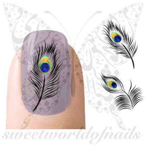 Peacock Feathers Nail Art Nail Water Decals Transfers Wraps Peacock Feather Nail Art, Peacock Nail Art, Cherry Blossom Nails Art, Feather Nail, Peacock Nails, Feather Nail Art, Feather Nails, Cherry Blossom Nails, Orange Nail Designs