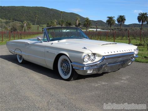 Ford Thunderbird Convertible, Old School Muscle Cars, Thunderbird Convertible, 5 Car Garage, Vw Karmann Ghia, 1964 Ford, Jet Age, Ford Car, American Classic Cars