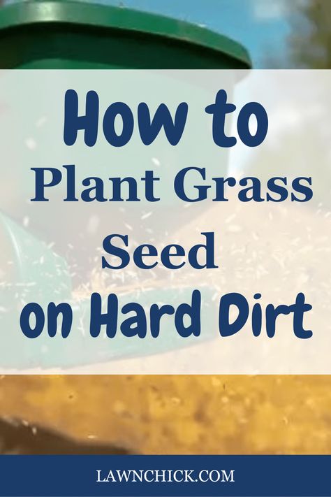 Do you have hard dirt in your yard and want to plant grass seed? We've got you covered. In this blog post, we'll talk about preparing the soil to make it suitable for planting, choosing the right grass seed, fertilizing your soil, and watering correctly. Also, you'll learn how long it will take your grass to grow, and what to do after you've planted your grass seed. Another topic we cover is how soil types affect whether or not your soil is likely to become compacted. Grass Seed Tips How To Grow, How To Plant Grass, Growing Grass From Seed, Grass Seed Types, Planting Grass Seed, Best Grass Seed, Planting Grass, Soil Types, Yard Plants