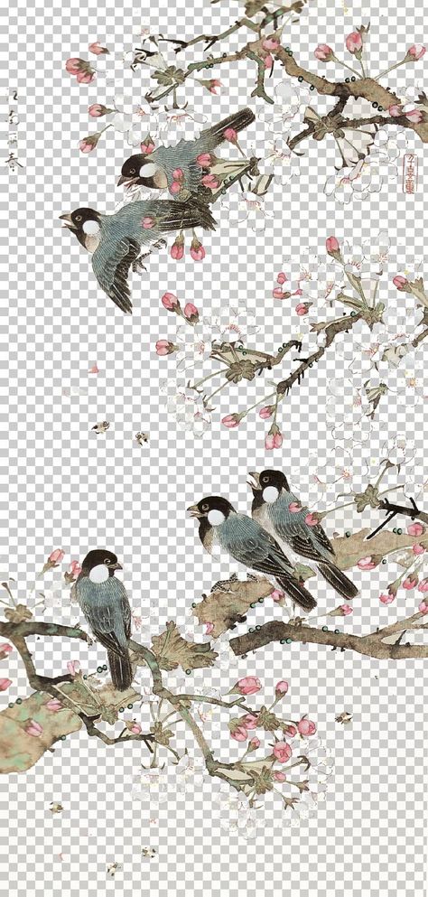 Chinese Art Illustration, Chinese Flower Illustration, China Art Illustration, Kotak Hampers, Chinese Flower Pattern, Psychological Portrait, Chinese Birds, Bird Background, Birds Png