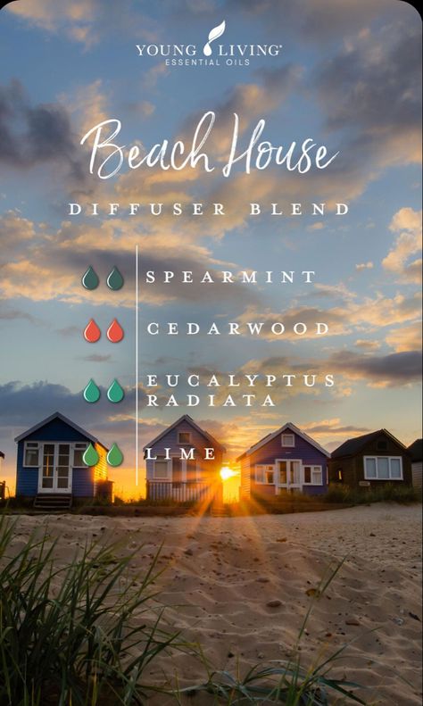 Summer Essential Oils, Eucalyptus Radiata, Essential Oil Combinations, Doterra Essential Oils Recipes, Essential Oil Diffuser Blends Recipes, Magia Das Ervas, Young Living Essential Oils Recipes, Spearmint Essential Oil, Essential Oils Guide