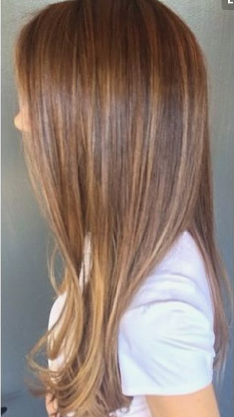 Subtle Brunette Highlights, Subtle Brunette, Beautiful Highlights, Light Brunette, Caramel Highlights, Hair Color Ideas For Brunettes, Brunette Highlights, Fall Transition, Hair Brown