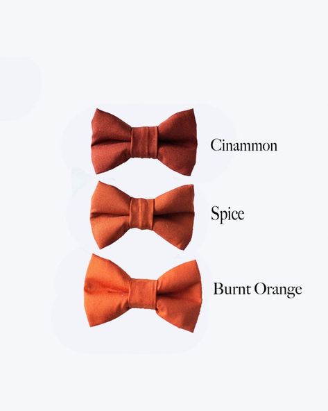 Orange Bow Tie Wedding, Rustic Wedding Outfit, Burnt Orange Weddings, Ring Boy, Suspenders Wedding, Wedding Reception Design, Terracotta Wedding, Groomsmen Ties, Bearer Outfit