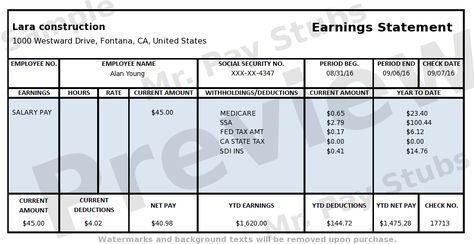 Pay Stub Preview Pay Check Stub Template, Pay Stub Template Free, Payroll Checks, Free Receipt Template, Payroll Template, Credit Card Hacks, Free Certificate Templates, Money Template, Statement Template