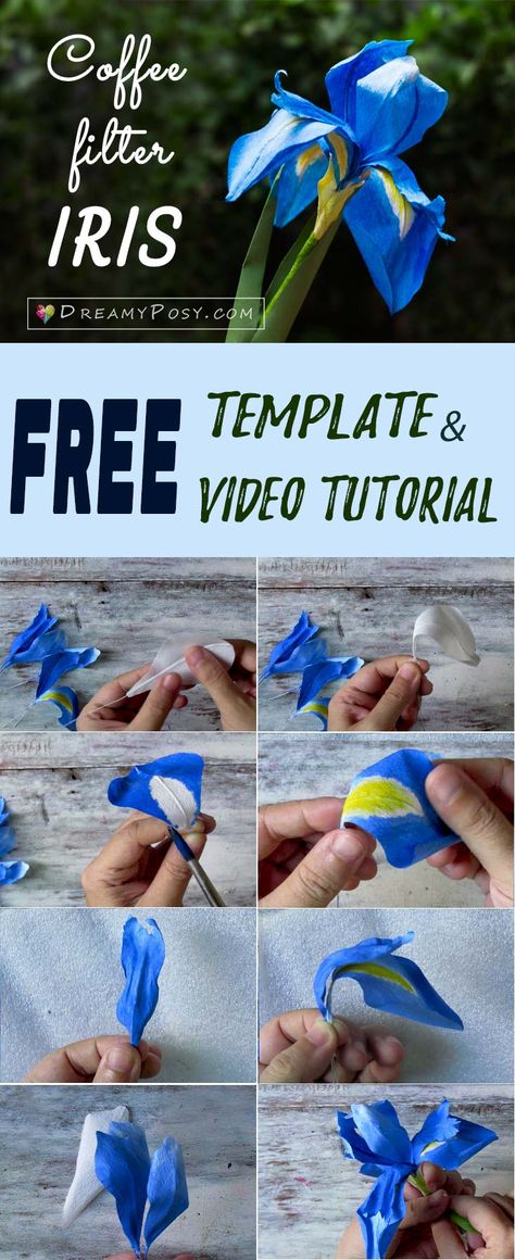 Free template and video tutorial to make Iris paper flower, paper flowers template, #paperflowers #free template Paper Iris, Flowers Template, Paper Quilling Flowers, Flower Wall Hanging, Flower Paper, Iris Flower, Quilling Flowers, Mason Jar Crafts Diy, Crepe Paper Flowers