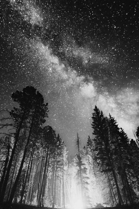 Night Forest Tattoo, Night Sky Tattoos, Sky Tattoos, Scene Tattoo, Nature Tattoo Sleeve, Forest Tattoos, Black And White Picture Wall, Space Tattoo, Black And White Landscape