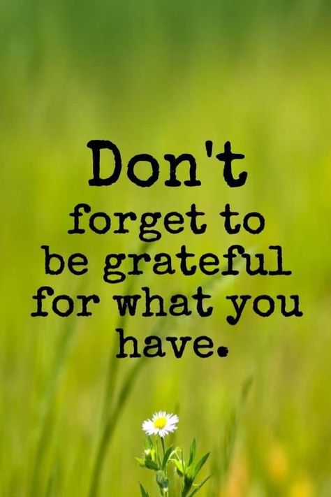 Don't forget to be grateful for what you have. Be Grateful Quotes, Grateful Images, Buddha Quotes Peace, November Quotes, Grateful Quotes, Human Dignity, Tumblr Image, Buddha Quotes, Be Grateful