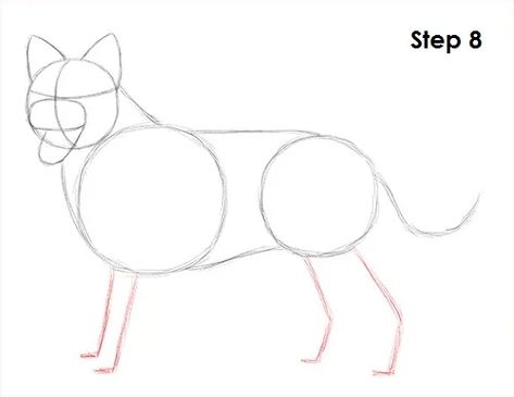 Border Collie Dog 8 Collie Aesthetic, Border Collie Aesthetic, Animal Tutorial, Drawing Instructions, Happy Stones, Drawing Step, Border Collie Dog, Collie Dog, Note Book