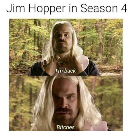 Stranger Things Memes, Jim Hopper, Stranger Things Quote, Stranger Things Girl, Stranger Things Poster, Stranger Danger, Stranger Things Kids, Stranger Things Have Happened, Stranger Things Actors