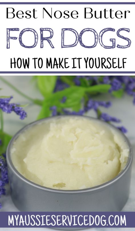 We all know that dogs love to have a wet nose. But, sometimes the dog’s nose can get dry and cracked due to allergies or even the hot or cold weather. In this article, we will tell you how to make your own nose butter for your pet! #doglovers #nosebutter #diynosebutter Dog Nose Balm, Homemade Dog Shampoo, Dry Dog Nose, Dog Balm, Dog Paw Balm, Dry Nose, Dog Remedies, Paw Balm, Dog Treats Homemade Recipes