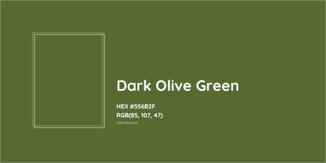 About Dark Olive Green - Color codes, similar colors and paints Munsell Color System, Analogous Color Scheme, Rgb Color Codes, Hexadecimal Color, Rgb Color Wheel, Monochromatic Color Palette, Color Pallete, Deep Autumn, Paint Color Palettes