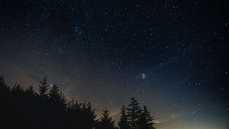 1920x1080 Wallpaper starry sky, night, trees, night landscape Starry Sky Wallpaper Desktop, 16:9 Wallpaper Aesthetic, 16:9 Wallpaper Backgrounds, Night Sky Hd, 16:9 Backgrounds, Night Trees, Hd Sky, Floor Planning, Starry Night Wallpaper