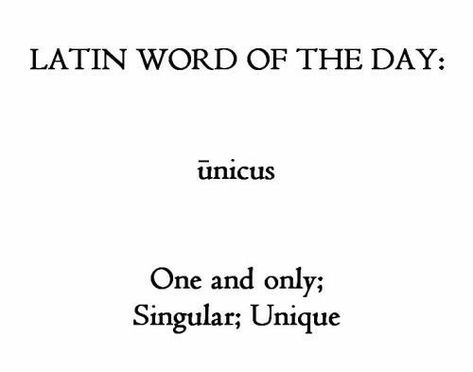 Latin Language Learning, Sabrina Carpenter Aesthetic, Carpenter Aesthetic, Latin Quotes, Latin Language, Foreign Words, Unique Words Definitions, Latin Phrases, Latin Word