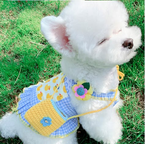 Puppies With Clothes On, Crochet Pets Clothes, Crochet Pet Clothes, Small Dog Outfits, Cute Dog Outfits, Cute Puppy Clothes, Dog Shirt Pattern, Pet Outfits, Dog Dress Pattern