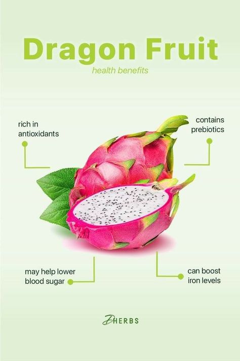 Dragon Fruit Quotes, Starlight Comic, Facts About Fruits, Dragon Fruit Health Benefits, Cactus Species, Fruits Benefits, Como Plantar Pitaya, Dragon Fruit Benefits, Fruit Quotes