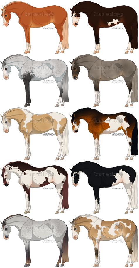 Horses Drawings, Horses Drawing, Horse Art Ideas, Horses Funny, Fell Pony, Horse Animation, Funny Horse Pictures, Horse Markings, Horse Art Drawing