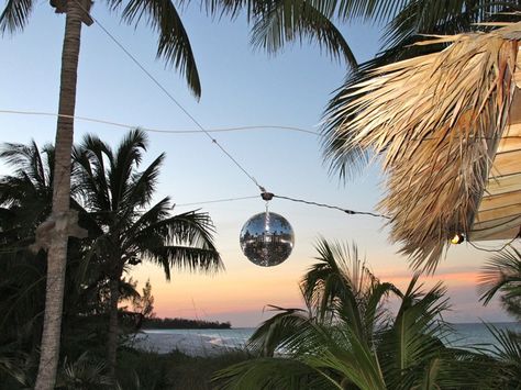 Hanging between the trees Beach Disco, Beth Hoeckel, Photo Caption, Tutti Frutti, Disco Ball, Beach Vibe, Summer 2014, Beach Photos, Perfect Place