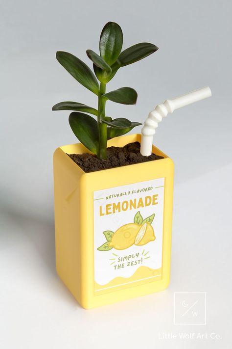 The Original Juice Box Planter by Littlewolfartco - Etsy Colorful Room Decor Ideas, Cute Objects, Flavored Lemonade, Home Gift Ideas, Planter Diy, Juice Box, Box Designs, Juice Boxes, Keramik Design