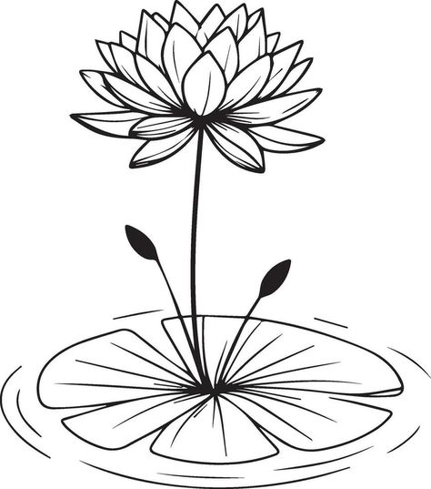 Waterlily Drawing Tattoos, Waterlily Drawing, Tattoo Designs Realistic, Lily Sketch, Water Lily Tattoo, Sketch Traditional, Water Lily Tattoos, Lotus Vector, Lily Tattoo