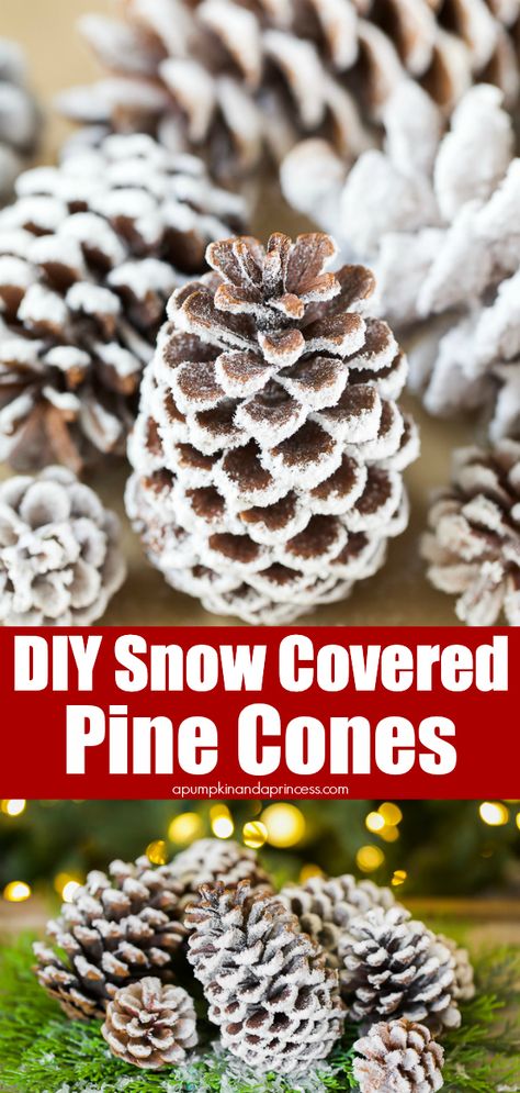 DIY Snow Covered Pine Cones - 3 easy ways to flock pine cones for your Christmas tree, wreath, garland, or holiday centerpiece. #christmas #crafts #pinecones #diy #flocked Pinecone Ideas, Pinecone Decor, Snowy Pinecone, Pine Cone Christmas Decorations, Ice Party, Cones Diy, Pinecone Crafts Christmas, Basket Makeover, Pinecone Crafts