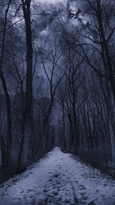 Rpg Wallpaper, Era Victoria, End Of Winter, Dark Nature Aesthetic, Snowy Forest, Forest Path, Dark Winter, Winter Scenery, Dark Photography