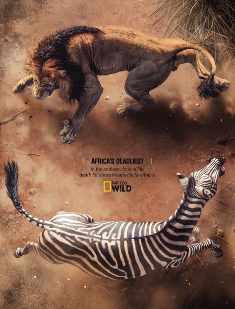 Nat Geo Wild - Circle Of Life on Behance Poster Inspiration Creativity, Wild Illustration, National Geographic Animals, Art Direction Advertising, Animals Poster, Dramatic Arts, Nat Geo, Extinct Animals, Print Advertising