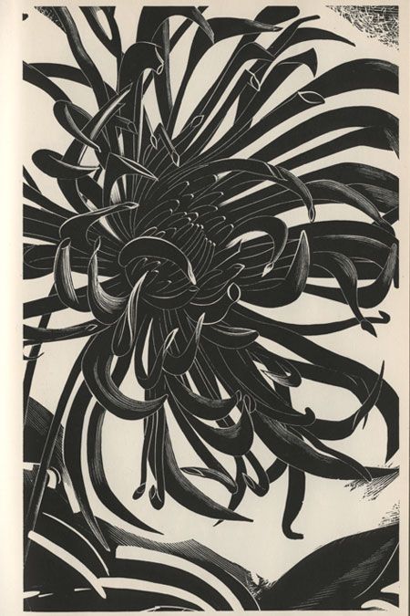 John Farleigh Cactus Dahlia, Relief Printmaking, Print Block, Printmaking Art, Relief Print, Mountain Print, Print Flower, Wood Engraving, Mountain Art