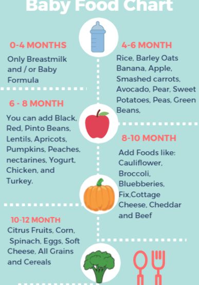 Organic Baby Formula, Baby Apple, Baby Feeding Chart, Baby Food Chart, Introducing Solids, 6 Month Old Baby, Meat Dinners, Bun In The Oven, Food Charts