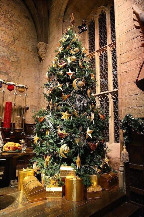 Harry Potter Great Hall Christmas decor Harry Potter Weihnachten, Harry Potter Christmas Decorations, Harry Potter Christmas Tree, Harry Potter Studio Tour, Hogwarts Christmas, Harry Potter Studios, The Great Hall, Anniversaire Harry Potter, Harry Potter Halloween