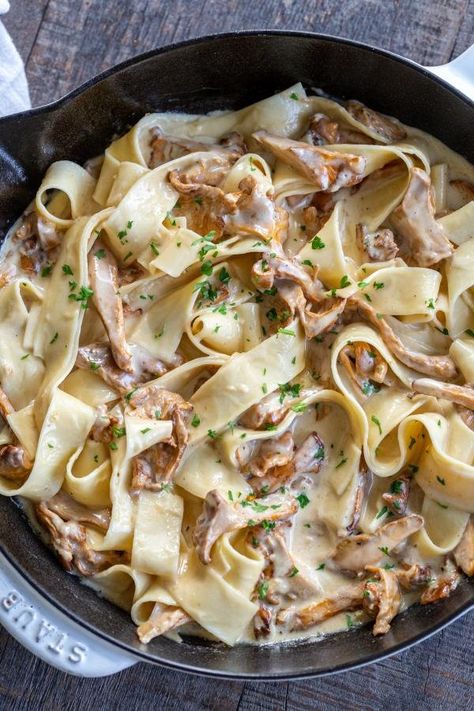 Chanterelle Mushroom Recipes, Chanterelle Recipes, Mushroom Fettuccine, Mushroom Pasta Sauce, Wild Mushroom Recipes, Mushroom Guide, Chanterelle Mushrooms, Carb Loading, Pasta Sauce Recipe