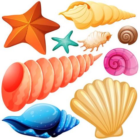 Seashells Illustration, Types Of Seashells, Seashell Illustration, Festa Moana Baby, Foto Frame, Fish Icon, Mermaid Cake Topper, Moana Party, Birthday Cake Topper Printable