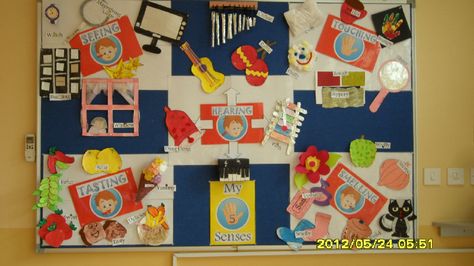 My Five Senses classroom display photo - Photo gallery - SparkleBox 5 Senses Bulletin Board Preschool, Early Years Science, Sensory Classroom, Math Signs, My Five Senses, First Grade Science, Children Activities, Classroom Display, 5 Senses