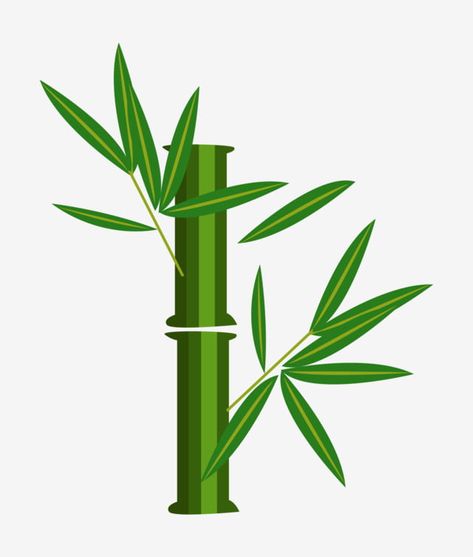 Bamboo Cartoon, Bamboo Clipart, Bamboo Clip Art, Bamboo Background Design, Bamboo Vector, Bamboo Sticker Printable, Bamboo Botanical Illustration, Nature Party, White Camera