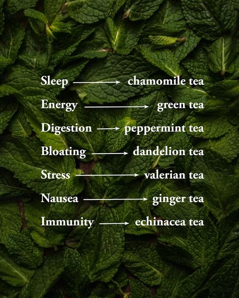 Cozy drinks that are full of benefits—that’s our cup of tea! 🫖 What Is Green Tea Good For, Healthy Teas To Drink, Rosemary Tea Benefits, Butterfly Pea Flower Tea Benefits, Green Tea Aesthetic, Spearmint Tea Benefits, What Is Green Tea, Ayurveda Food, Food Healing