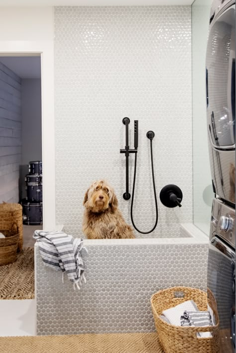 Dog Bathing Station, Dog Wash Station, Dog Room Decor, Dog Feeding Station, Wash Station, Washing Station, Dog Spa, Dog Washing Station, Dog Spaces