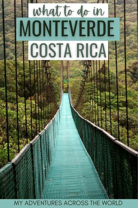 Are you traveling to Costa Rica? Monteverde is a must see! Here you will discover the best things to do in Monteverde Costa Rica, including Monteverde cloud forest | Monteverde cloudforest reserve | Monteverde Costa Rica cloud forest via @clautavani Costa Rica Pictures, Monteverde Cloud Forest, Monteverde Costa Rica, Best Travel Apps, Cloud Forest, Costa Rica Vacation, Monteverde, Costa Rica Travel, Travel App