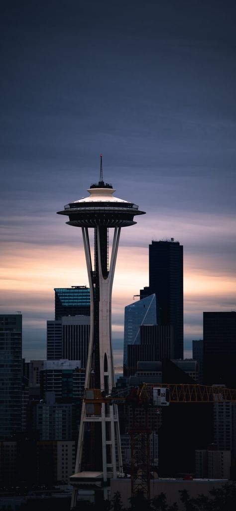 Seattle Aesthetic Wallpaper, Seattle Wallpaper, City Wallpapers, Space Needle Seattle, Sleepless In Seattle, Canada City, Scenic Pictures, City Sky, Evergreen Forest