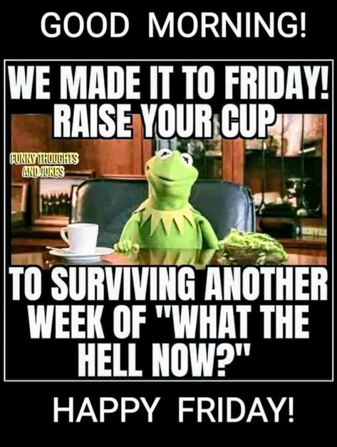 Friday Morning Coffee Humor, Funny Halloween Pictures, Happy Friday Humour, Weekly Blessings, Coffee Pics, Morning Sister, Good Morning Animals, Funny Weekend Quotes, Card Quotes