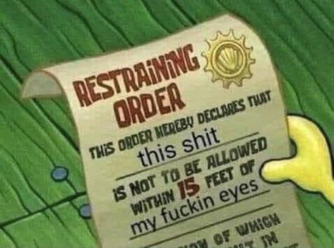 Mood Humor, Jesse Anderson, Image Meme, Restraining Order, Spongebob Funny, Reaction Pic, Text Memes, Spongebob Memes, Funny Profile