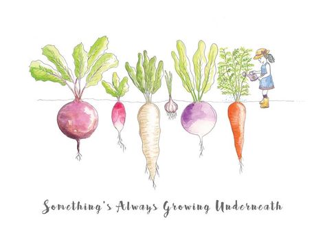 Root Vegetable Illustration, Watercolor Vegetables Simple, Illustration Children, Vegetable Illustration, Bird Houses Painted, Garden Drawing, Watercolor Food, Watercolor Fruit, Watercolor Journal