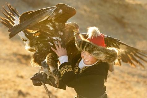 ‘The Eagle Huntress’ Review: Soaring Documentary - WSJ Eagle Huntress, Mongolian Eagle, Eagle Hunter, Aigle Royal, Lady Macbeth, Daisy Ridley, Holiday Break, Golden Eagle, An Eagle