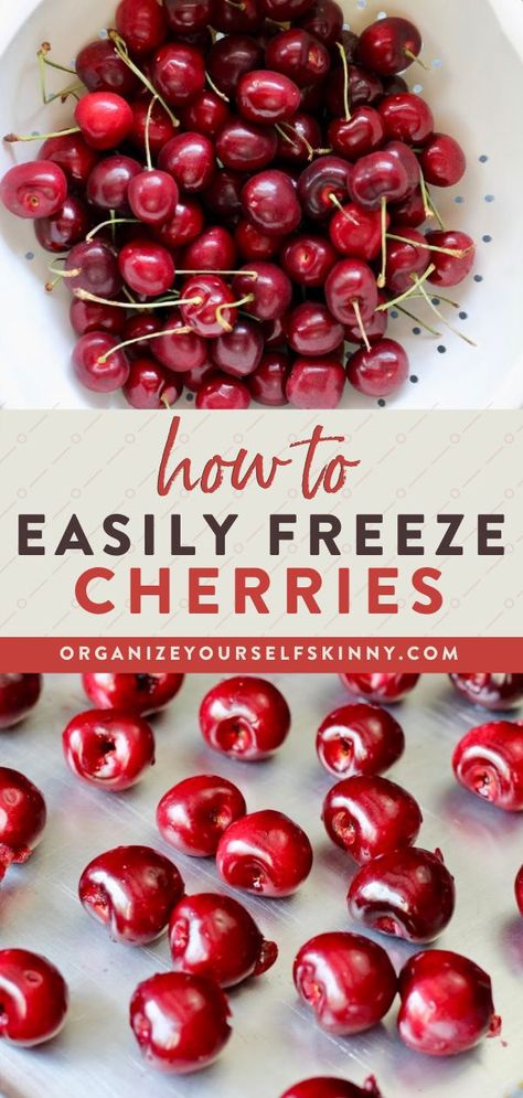 How To Freeze Fresh Cherries, How To Freeze Cherries, What To Do With Fresh Cherries, Freezing Cherries, Freeze Cherries, Fresh Cherry Pie, Blend Jet, Frozen Smoothie Packs, Apple Treats