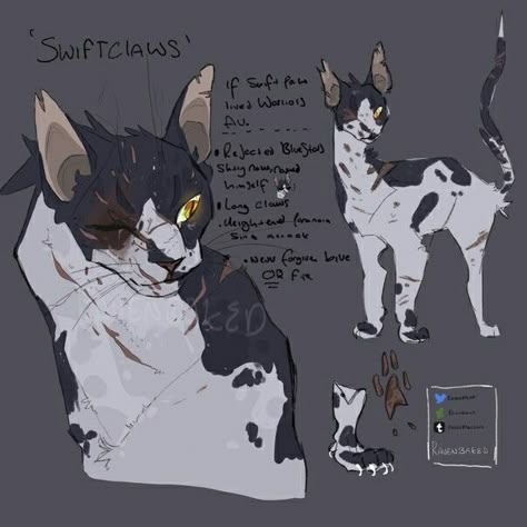 Long Muzzle Warrior Cat, Warrior Cats Ocs, Warrior Cats Oc Design, Warrior Cats Oc Ideas, Drawing Warrior, Warrior Cats Oc, Warrior Cats Comics, Warrior Cats Series, Cat Anatomy