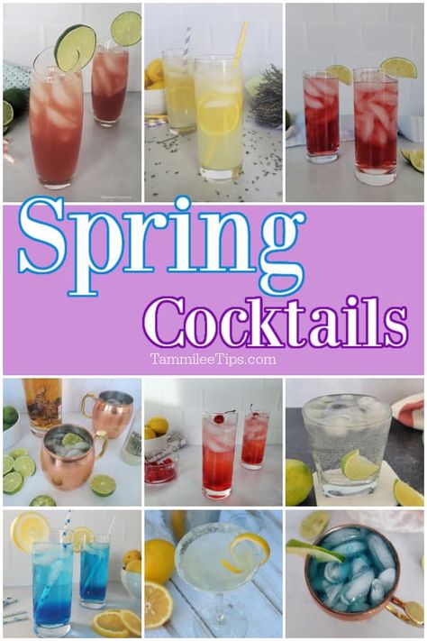 Easy Spring cocktails that are light and refreshing! Everyone will love these fun colorful cocktails and classic cocktails. Looking to freshen up your cocktail game this spring? Look no further than our collection of delicious and refreshing spring cocktail recipes! From fruity blends to herbaceous mixes, our collection has something for everyone. Perfect for a sunny day spent outside or a cozy night in with friends, these cocktails are sure to impress. April Cocktails, Spring Mixed Drinks, Spring Drinks Cocktails, Spring Drink Recipes, Spring Cocktail Recipes, Easy Spring Cocktails, Home Cocktails, Festive Cocktail Recipes, Drinks Refreshing