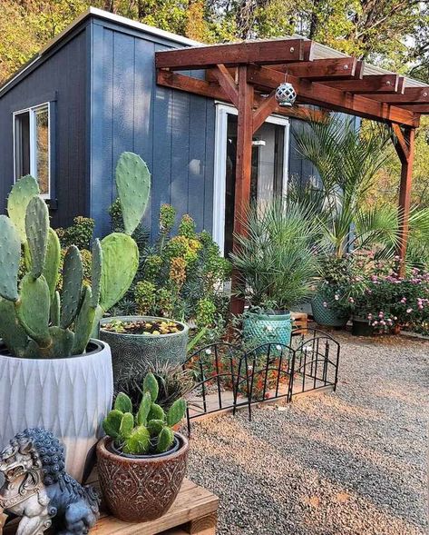 19 Desert Landscaping Ideas to Try Backyard Arizona, Desert Landscape Ideas, Desert Landscaping Backyard, Desert Landscaping Ideas, Desert Backyard, Arizona Backyard, Gravel Landscaping, Narrow Garden, Drought Tolerant Garden